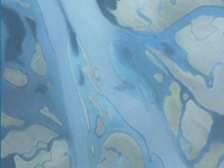 25.water_